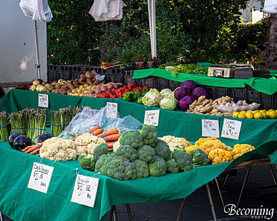 Farmers Market Display